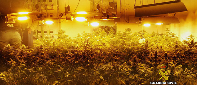 La Guardia Civil interviene en una vivienda de Mogro 400 plantas de marihuana