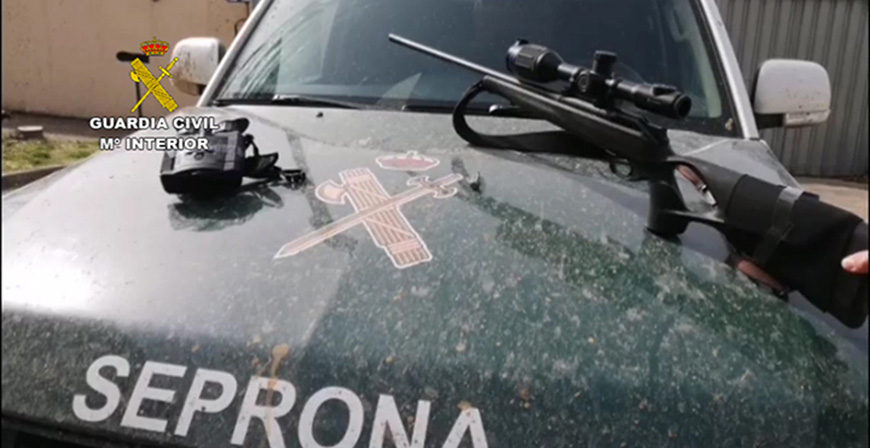 La Guardia Civil investiga a dos personas que fueron sorprendidas cazando lobos en el norte de Palencia