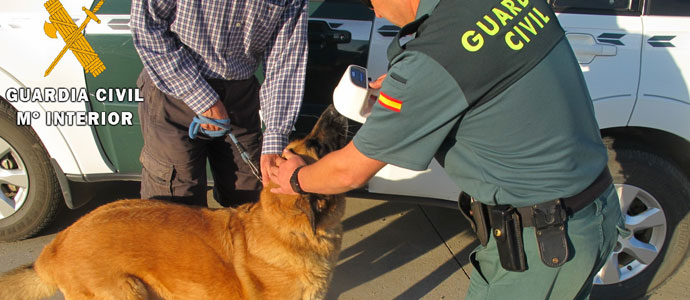 La Guardia Civil investiga a un hombre por la muerte de dos perros en el interior de un vehculo en Braosera