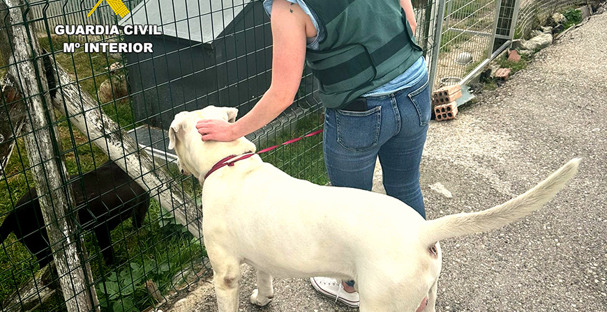 La Guardia Civil investiga a un hombre por dar varios puetazos y una patada a su perro 