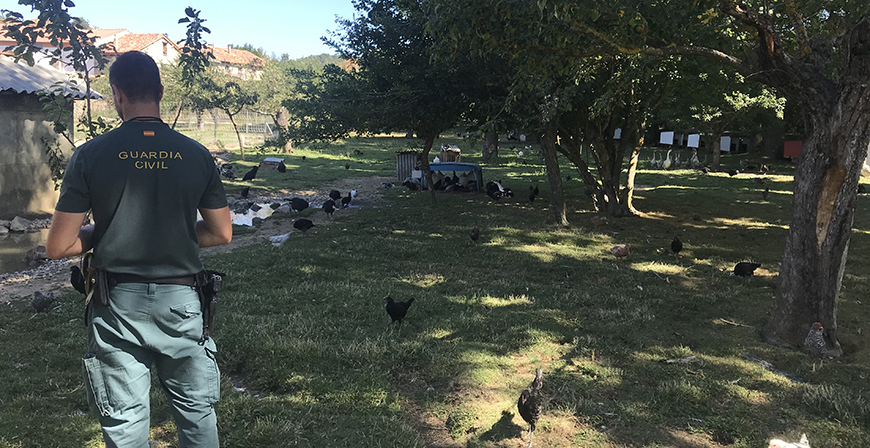 La Guardia Civil investiga varias irregularidades sanitarias en una granja escuela del norte de Palencia
