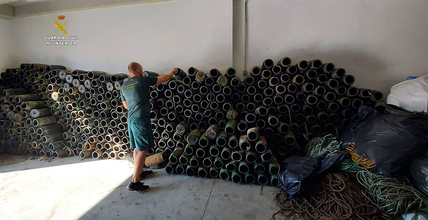 La Guardia Civil libera ms de 260 kilos de pulpos vivos atrapados en nasas ilegales propiedad de un furtivo en Santoa