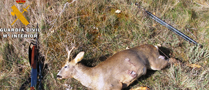 La Guardia Civil de Palencia detiene a ocho personas por furtivismo