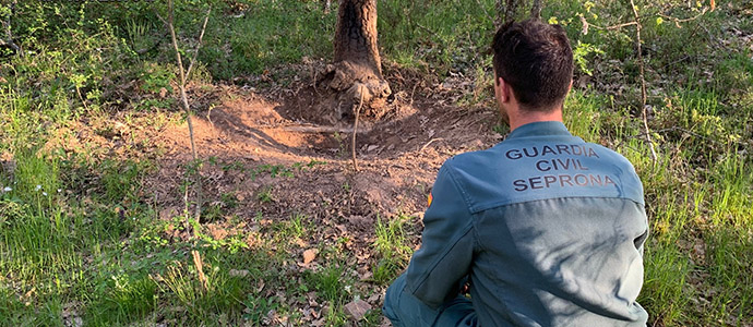 La Guardia Civil de Palencia inutiliza y desactiva diez puntos de prcticas furtivas de caza