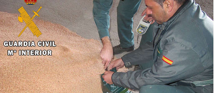 La Guardia Civil de Palencia investiga a ocho personas por uso fraudulento de semillas de cereal