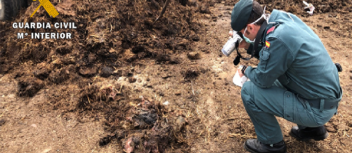 La Guardia Civil de Palencia investiga a una persona por delito de maltrato animal
