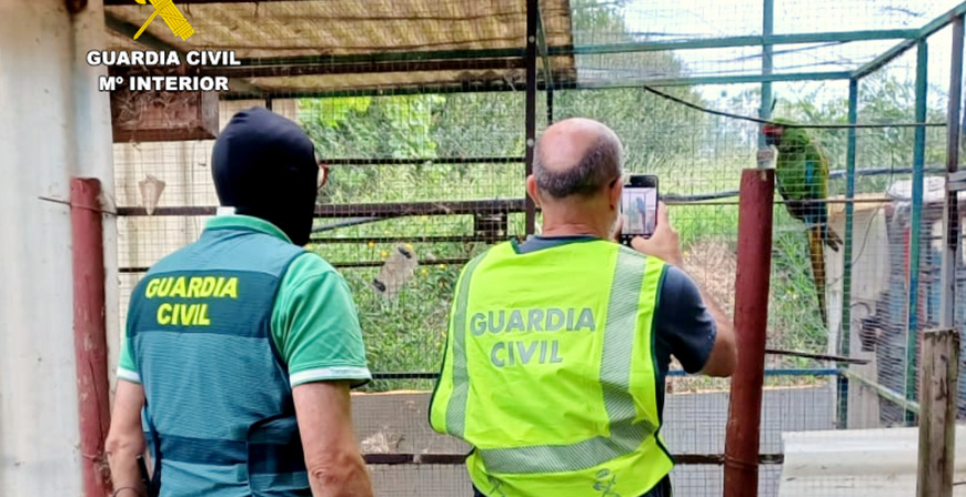 La Guardia Civil recupera un guacamayo robado en Cantabria