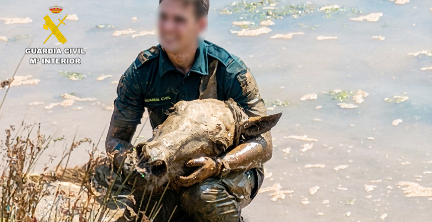 La Guardia Civil rescata a un caballo a punto de perecer entre el fango de la r�a en Pontejos