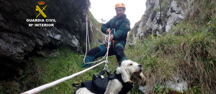 La Guardia Civil rescata a un perro en Picos de Europa 