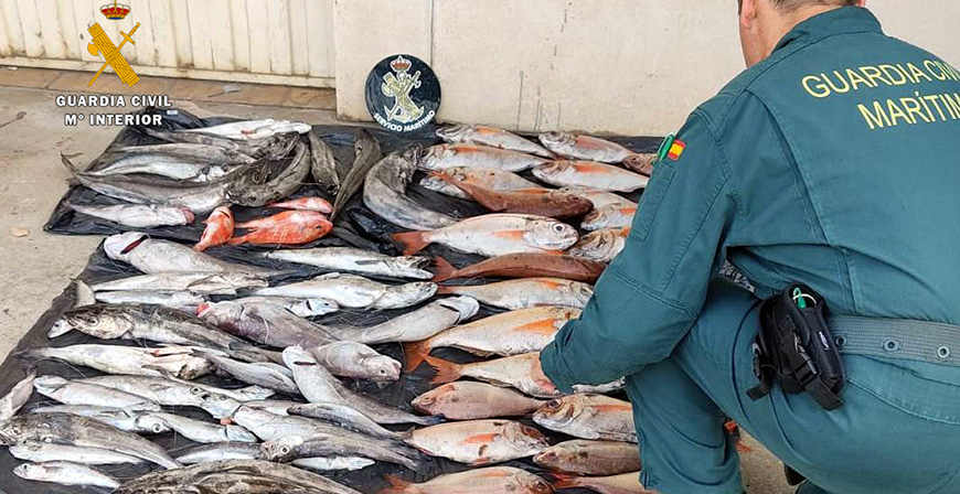 La Guardia Civil sorprende a un furtivo con casi 55 kilos de pescado cuando solo poda pescar 5