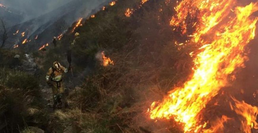 Hay ocho incendios forestales activos en Cantabria, dos de ellos en Campoo