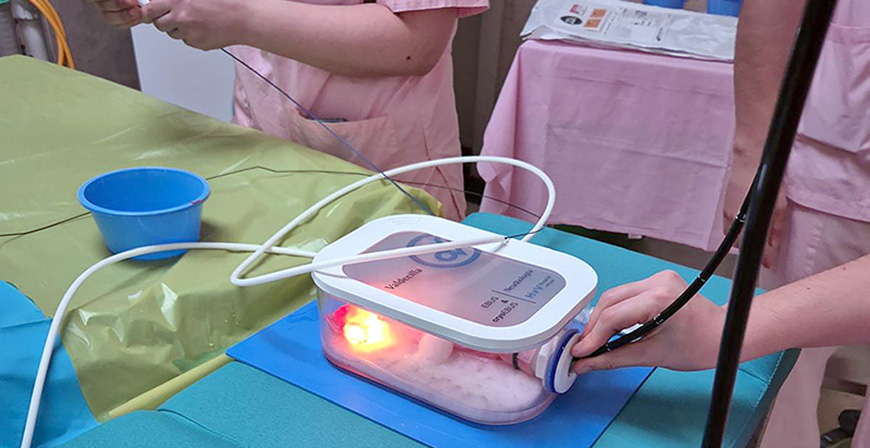 El Hospital Virtual Valdecilla dise�a un simulador neumol�gico para mejorar los diagn�sticos en c�ncer de pulm�n, sarcoidosis o linfomas