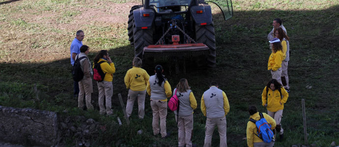 Huertos solidarios para consumo propio