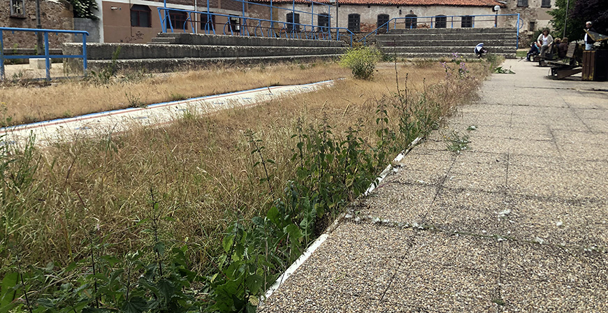 Los huertos urbanos, cada vez ms urbanos