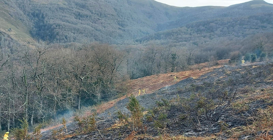 Identificado un vecino de la zona como presunto autor de un incendio forestal en Molledo