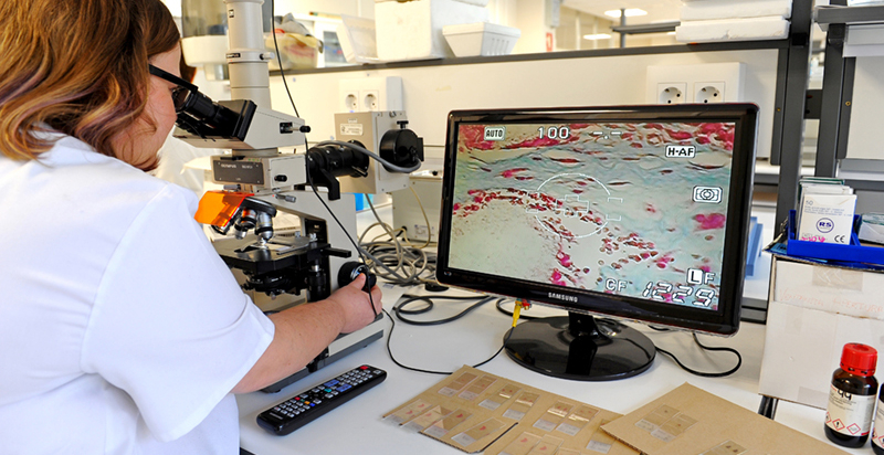IDIVAL destina ms de 460.000 euros a sus grupos de investigacin para impulsar la produccin cientfica en Cantabria