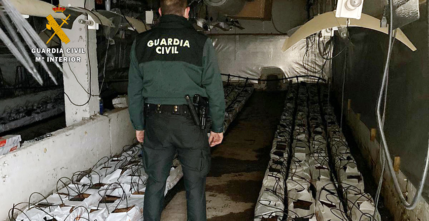 Un incendio en una cabaa descubre una infraestructura que podra albergar unas 2.300 plantas de marihuana