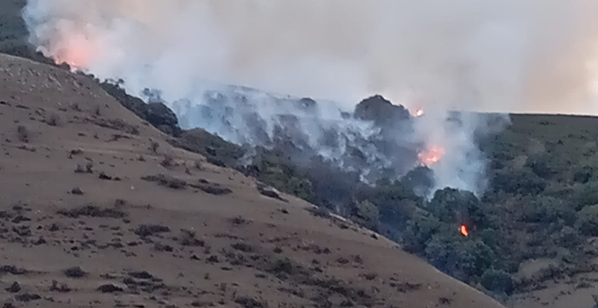El incendio forestal originado sobre Aradillos, qued� controlado esta madrugada