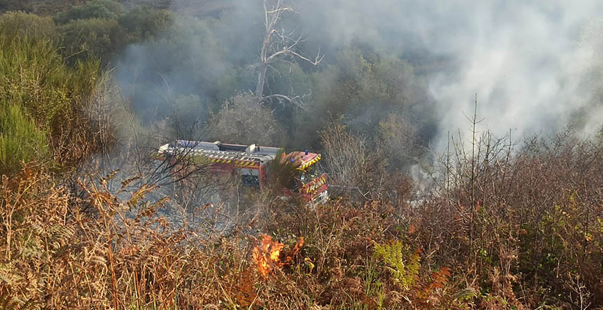 Intensa actividad de las cuadrillas forestales y los bomberos hoy en Campoo