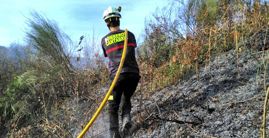 Intensa actividad de las cuadrillas forestales y los bomberos hoy en Campoo