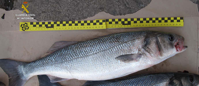 Interceptan a tres furtivos con casi 21 kilos de pesca en aguas de Santander