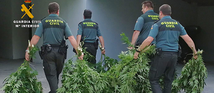 Intervenidos unos 44 kilos de marihuana en Boo de Pilagos y Liao de Villaescusa