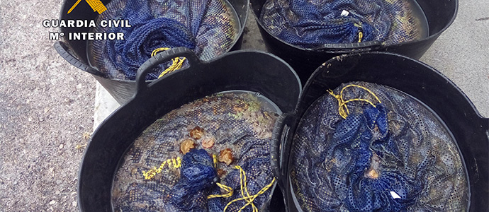 Intervenidos a un mariscador 150 kilos de an�monas extra�das en la Magdalena