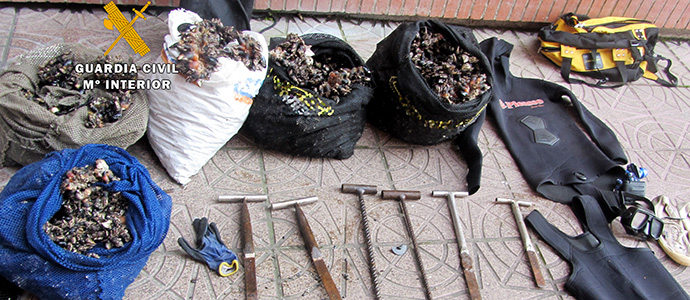 Intervienen ms de 80 kg de percebes a un hombre que ya contaba con 50 denuncias en materia de pesca