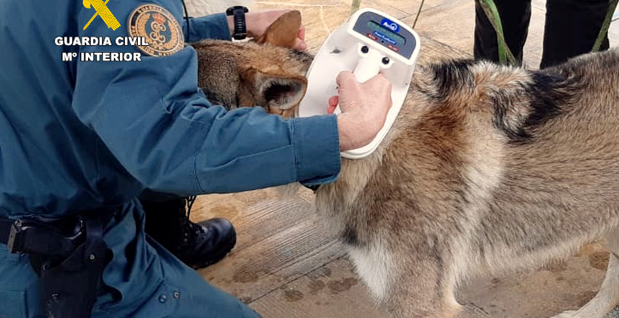 Investigado un hombre de 84 a�os por arrastrar a su perro atado al parachoques de un veh�culo