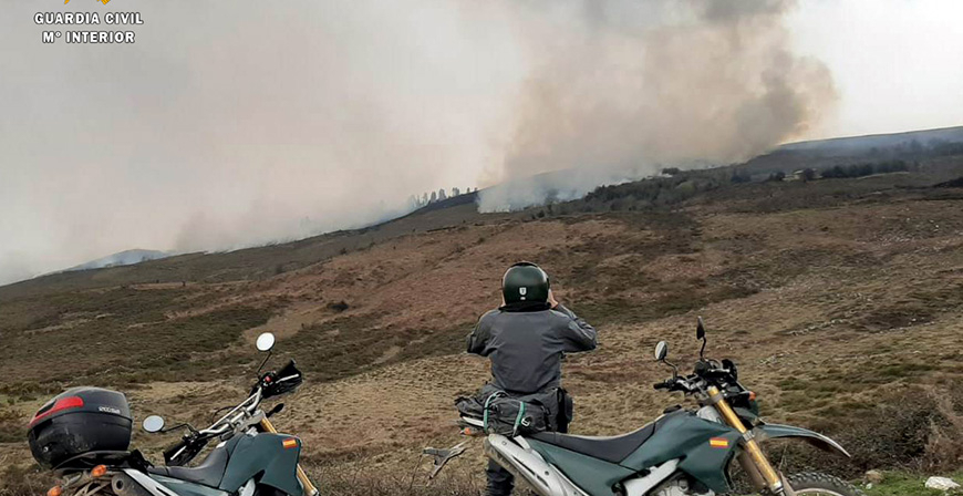 Investigados dos hombres como presuntos autores de un incendio forestal en Pearrubia