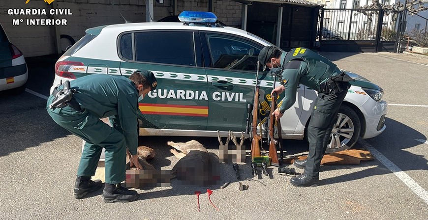 Investigados tres cazadores por abatir dos corzos en poca de veda