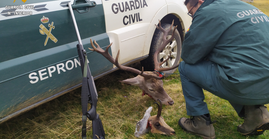 Investigan a tres personas por un supuesto delito de caza furtiva en la Montaa Palentina