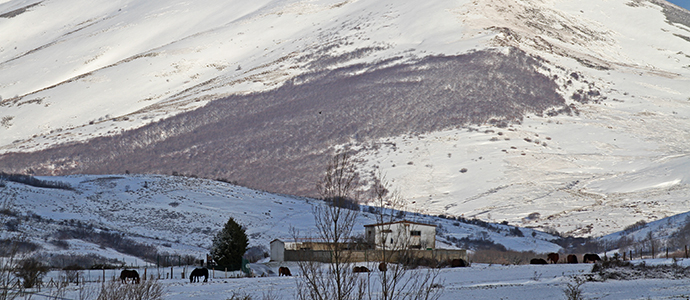 El invierno reaparece en Campoo