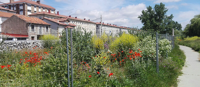 El 'jardn botnico' de la Avenida Naval