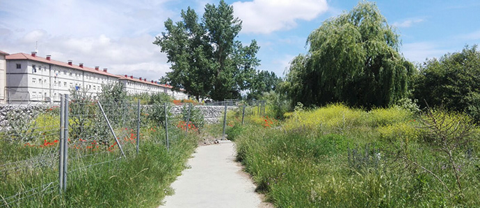 El 'jardn botnico' de la Avenida Naval