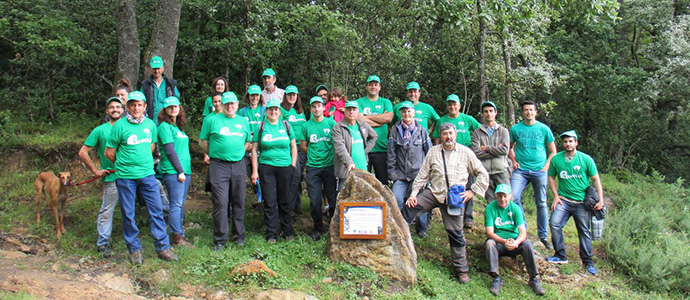 Un jardn verde en Campoo de Yuso