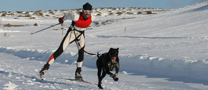 Javier Gutirrez Cuevas, campen de Espaa en Skijring