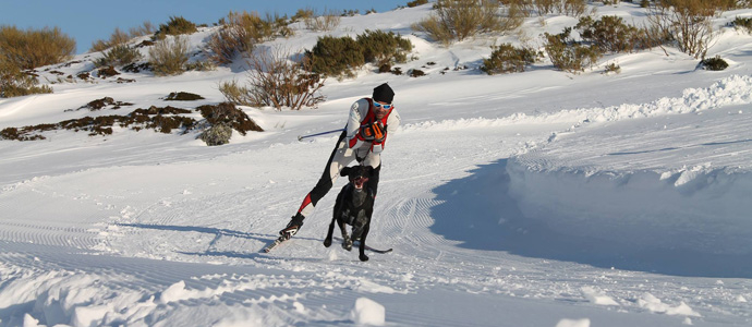 Javier Gutirrez Cuevas, campen de Espaa en Skijring