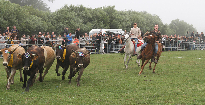 Jornada ecuestre en las fiestas de Requejo