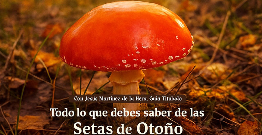 Jornada micolgica en el Castillo de Argeso