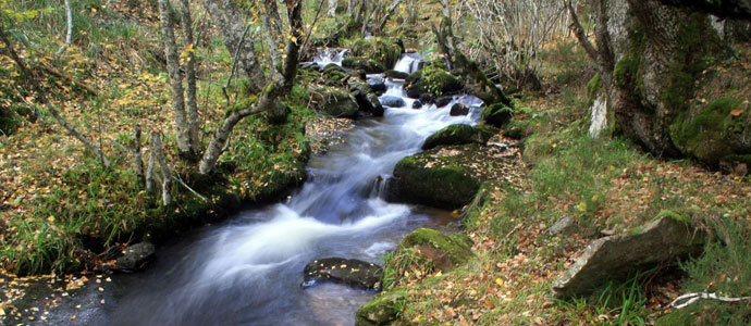 Las Jornadas de Medio Ambiente de Reinosa arrancan hoy
