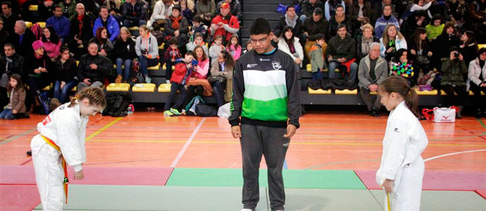 Los judokas campurrianos se comen una docena de medallas