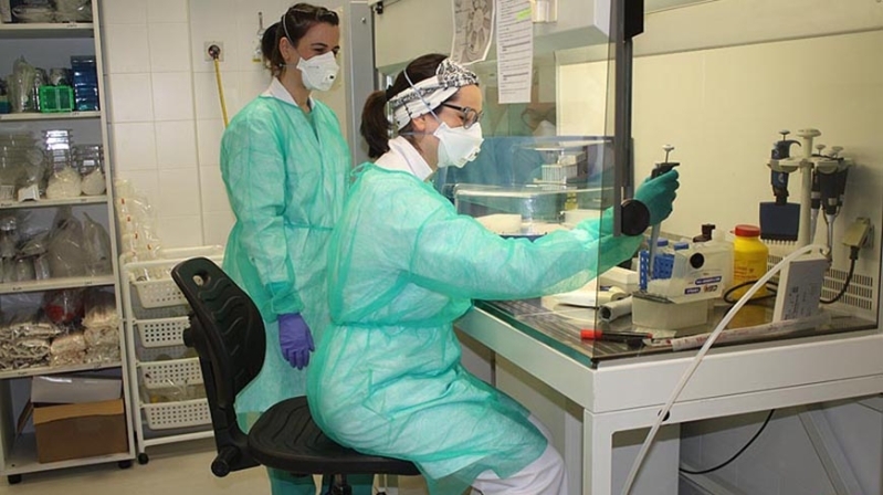 El laboratorio del IDIVAL, validado para realizar pruebas PCR de diagnstico del Covid-19