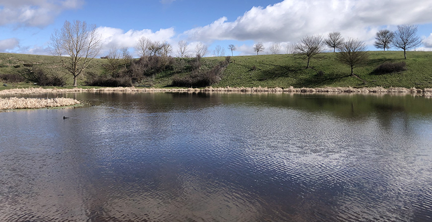 El Lago de Las Sanguijuelas acoge este sbado una actividad ambiental dirigida a las familias