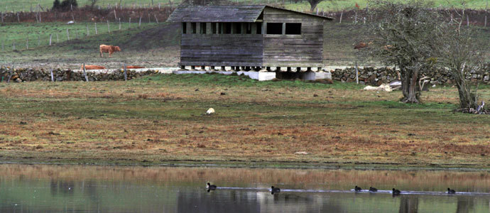 La laguna de Lanchares acoger una jornada de voluntariado ambiental