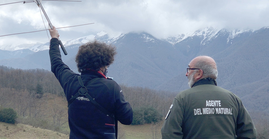 Liberan en Cantabria al quebrantahuesos 'Aquiln' tras recuperarse de la amputacin sufrida en una de sus extremidades