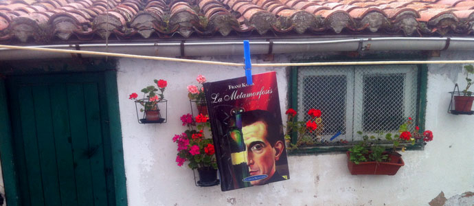 Libros que te leen