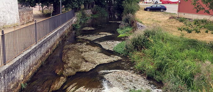 Limpieza en la ribera del Ebro