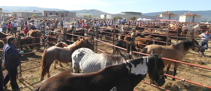 Lleg la feria