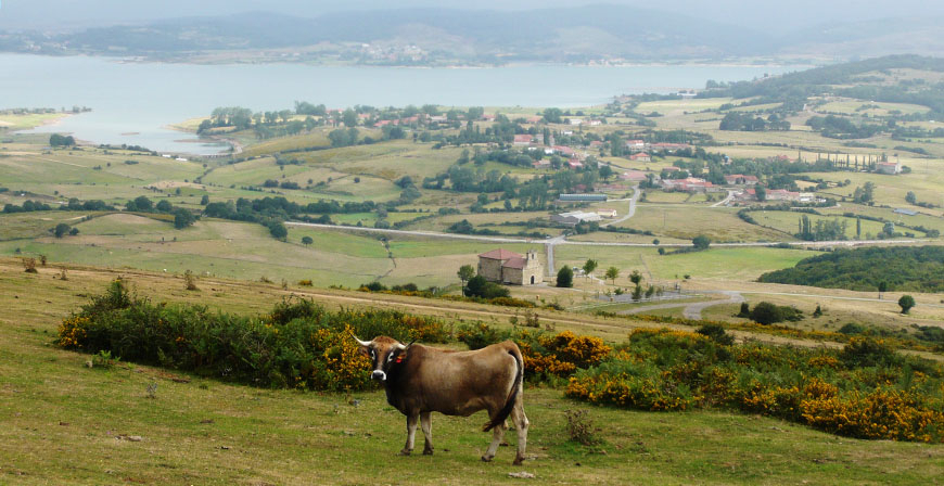 Llega a Campoo de Yuso el proyecto 